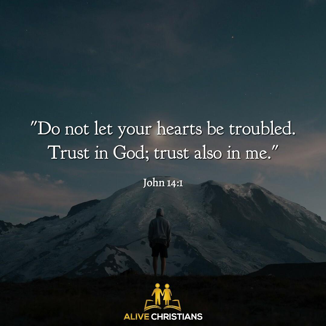 no trouble only trust