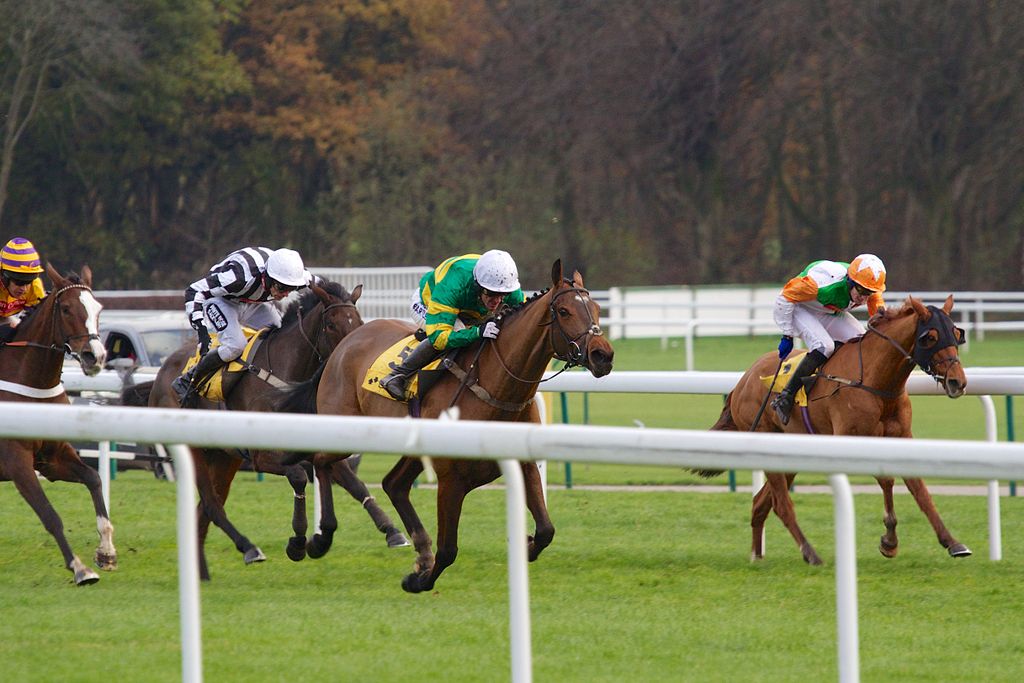 Win The Race
